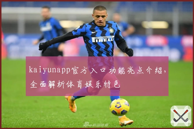 kaiyunapp官方入口功能亮点介绍，全面解析体育娱乐特色
