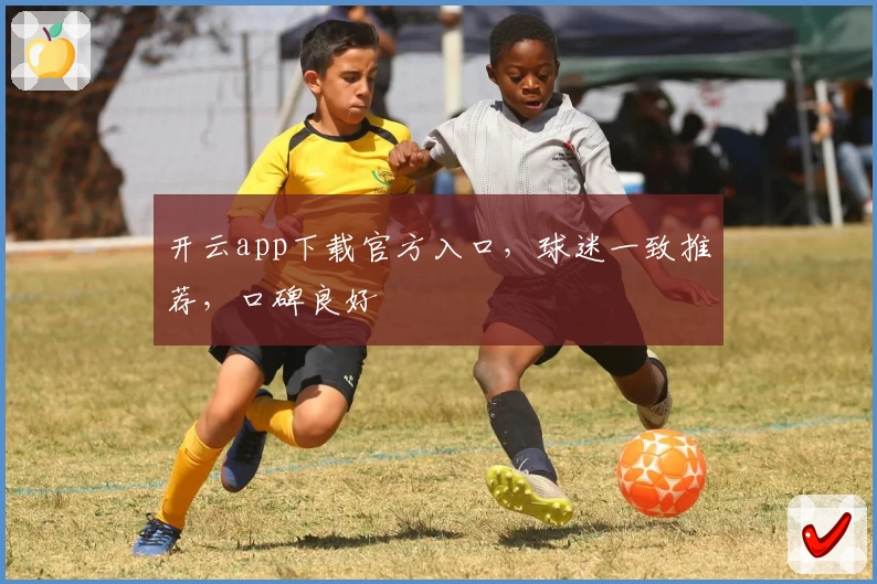 开云app下载官方入口，球迷一致推荐，口碑良好