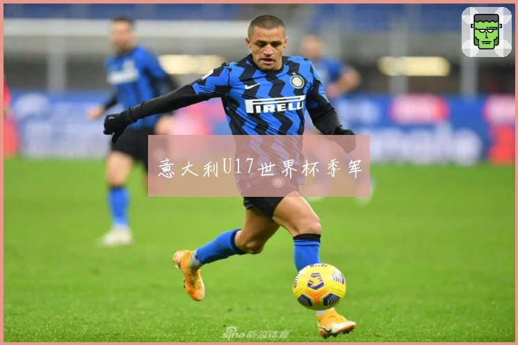 意大利U17世界杯季军