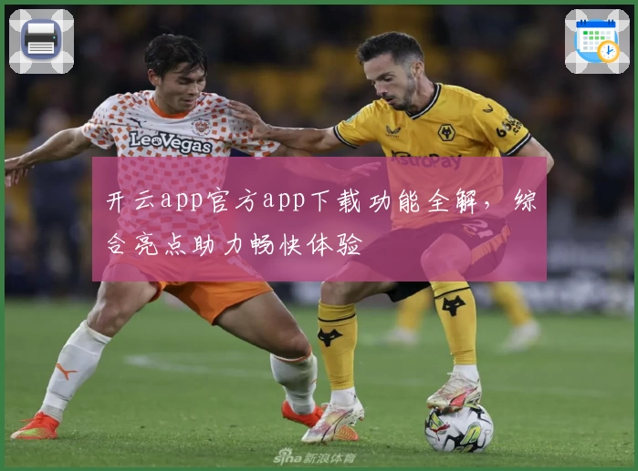 开云app官方app下载功能全解，综合亮点助力畅快体验