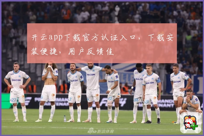 开云app下载官方认证入口，下载安装便捷，用户反馈佳