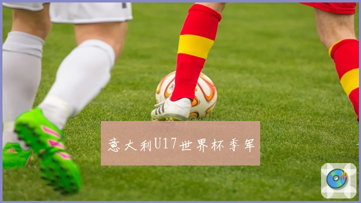 意大利U17世界杯季军
